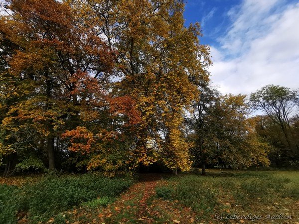 19157-mueschpark-lousberg_7_mid.jpg